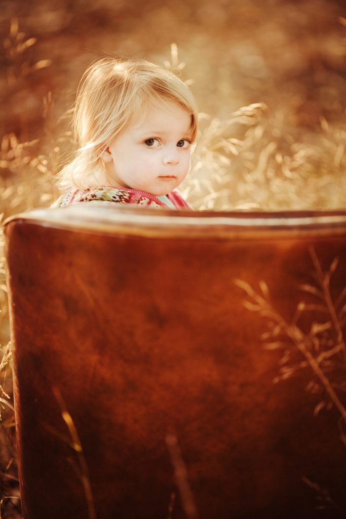 Terra Jean Creative portfolio image
